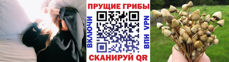 купить наркотики цена  KRAKEN зеркало  Псилоцибиновые грибы Magic Shrooms  Печоры 